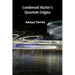 Condensed Matter's Quantum Enigma: Exploring the Interplay of Classical and Quantum Phenomena in Condensed Systems
