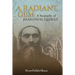A Radiant Gem - a Biography of Jináb-I-Fádil-I-ShÍrází