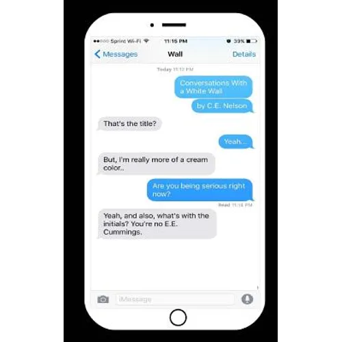 Conversations With a White Wall