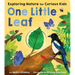 One Little Leaf: Exploring Nature for Curious Kids