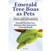 Emerald Tree Boas as Pets. Facts and Information. Emerald Tree Boa Care, Behavior, Diet, Interaction, Costs and Health.