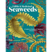 Edible & Medicinal Seaweeds: A Guide to Healing & Nutritive Ocean Plants