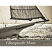 Chesapeake Views