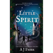 Little Spirit: A children's mystery adventure