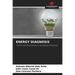 Energy Diagnosis