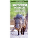 Southwest Desert Life