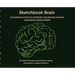 Sketchbook Brain: An Introduction to Complex Childhood Trauma and Brain development