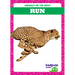Run