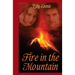 Fire in the Mountain