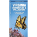 Virginia Butterflies & Pollinators: A Folding Pocket Guide to Familiar Species