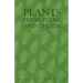 Plants - Ferns, Palms and Cycads
