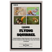 Raising Flying Squirrel: A Complete Handbook for Keeping Flying Squirrel as Pet: Learn Step-by-Step Pet Owners Breeding Tips, Feeding, Habitat