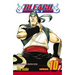 Bleach, Vol. 10