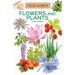 Flowers and Plants
