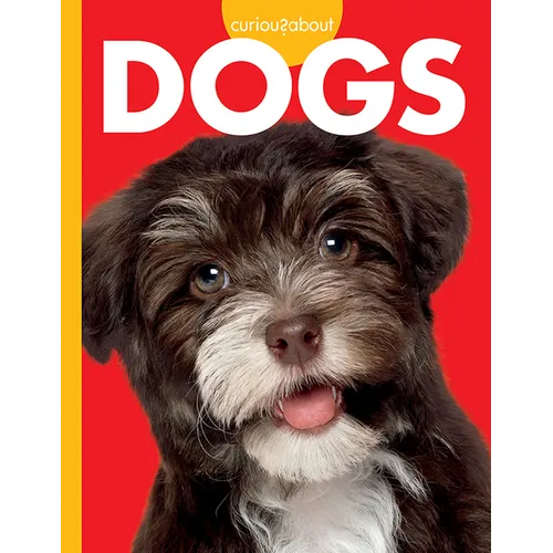 Curious about Dogs