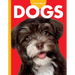 Curious about Dogs