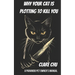 Why Your Cat Is Plotting to Kill You: A Paranoid Pet Owner's Manual