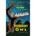 The Disobedient Owl and Other Tales: Stories About Nature & Its Inhabitants
