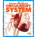 Circulatory System