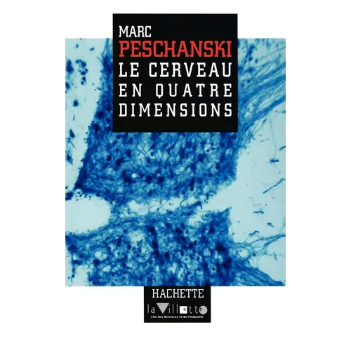 Le cerveau en quatre dimensions