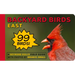 Backyard Birds East