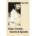 Cops, Crooks, Courts & Spooks