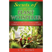 Secrets of the Plant Whisperer: How To Care For, Connect, And Communicate With Your House Plants