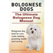 Bolognese Dogs. Ultimate Bolognese Dog Manual. Bolognese dog book for care, costs, feeding, grooming, health and training.