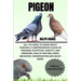 Pigeon: All You Need to Know About Pigeons: A Comprehensive Guide on Training, Nutrition, Habitat, and Breeding, Health And We