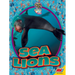 Sea Lions