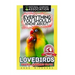 Everything You Should Know About: Lovebirds Faster Learning Facts
