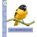 Las Oropéndolas