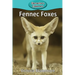 Fennec Foxes