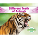 Different Teeth of Animals