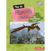 Top 10 Minecraft Mods: An Unofficial List