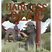 The Hairless Bear