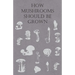 How Mushrooms Should Be Grown