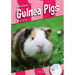 Guinea Pigs