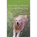 Our Dogs and Roscoe The Gold Plated Dog