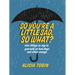So You're a Little Sad, So What?: Nice Things to Say to Yourself on Bad Days and Other Essays