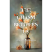 The Chasm Between Us