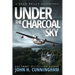 Under the Charcoal Sky