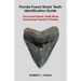 Florida Fossil Shark Teeth Identification Guide: The Fossil Shark Teeth Most Commonly Found In Florida