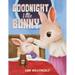 Goodnight Little Bunny