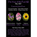 The Year of the Poet XII May 2025
