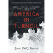 America in Turmoil: Essays on Politics, the Economy, Society, and the Future