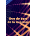Livre de bord de la migraine: Suivi professionnel détaillé de toutes vos migraines et céphalées sévères Suivi des déclencheurs de maux de tête, des sy