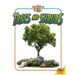 Trees and Shrubs