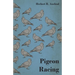 Pigeon Racing