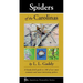 Spiders of the Carolinas: A Handy Field Guide to 100 of Our Most Common and Interesting Spiders